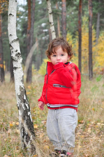 In the forest stands near the birch is a little curly-haired gi — Stock Photo, Image