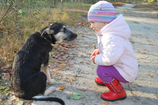 Então... Ouve-me! Treinando um cão Little Girl em uma floresta de bétula . — Fotografia de Stock
