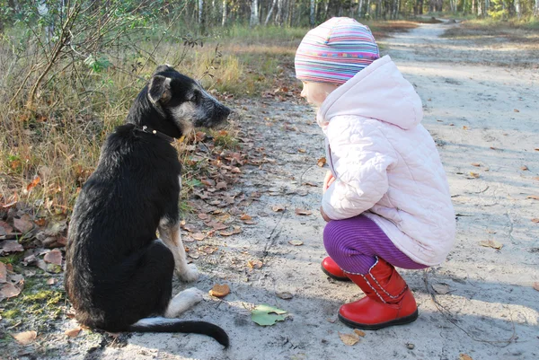 So! Listen to ME! Training a dog Little Girl in a birch forest. — Stock Photo, Image