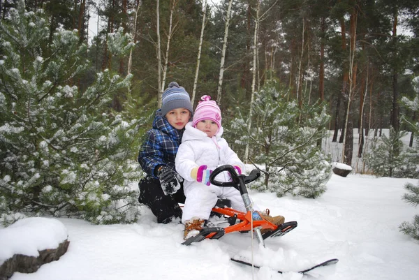 Dans la forêt, le garçon avec une petite fille assise sur un traîneau . — Photo