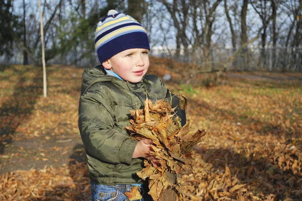 En el parque de otoño niño sosteniendo una hoja — Foto de Stock