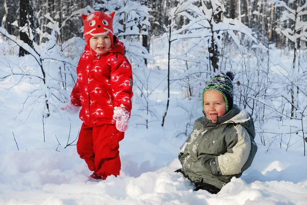 Menino e menina bonita no inverno floresta coberta de neve . — Fotografia de Stock