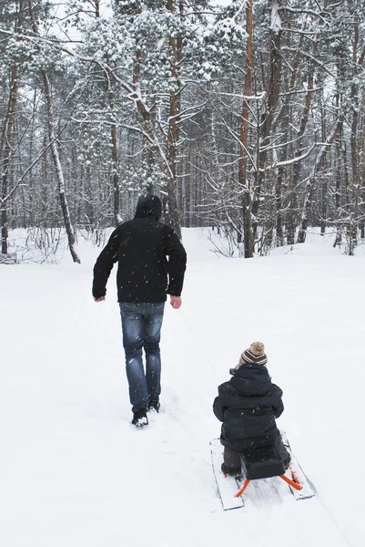 In winter, the father carries his son on a sled in the woods — Stock Photo, Image
