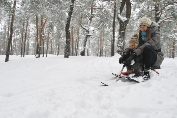 妈妈和儿子来回滑雪橇在冰雪覆盖的森林里，寒冷的冬天 — 图库照片