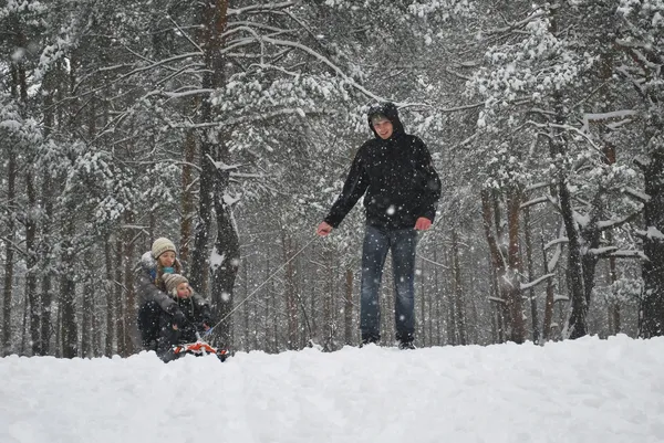 Paseo de invierno en un bosque nevado . —  Fotos de Stock