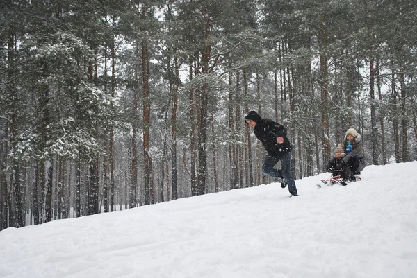 Vintervandring i en snedækket skov . - Stock-foto