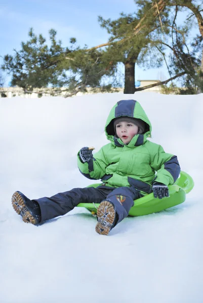 Boy ridning kullarna på slädar — Stockfoto