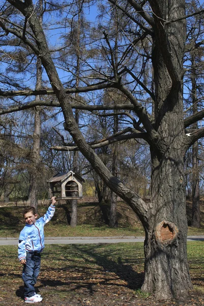 Menino fica perto de um alimentador de pássaros sob a árvore . — Fotografia de Stock