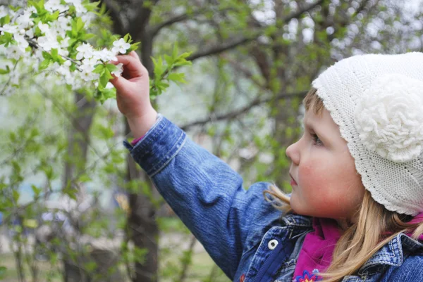 Frühling im Garten ein kleines Mädchen mit einem Kirschzweig. — Stockfoto