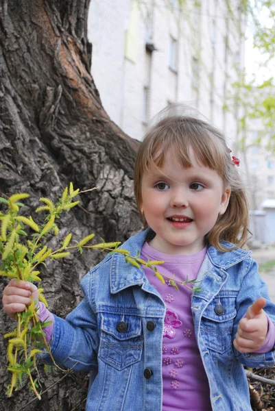 Girl holding a bunch of willow — Stock Photo, Image