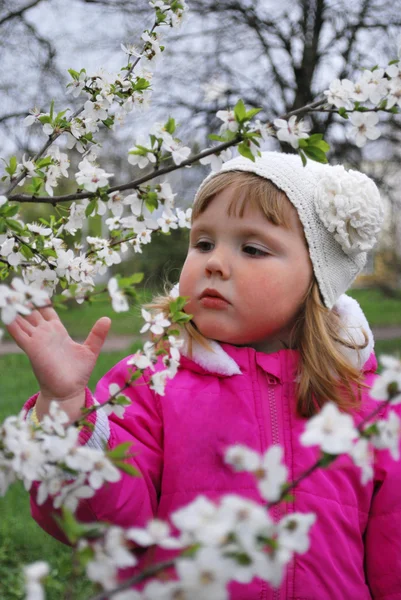 庭の美しい少女の春桜ピンクの小さなを保持します。 — ストック写真