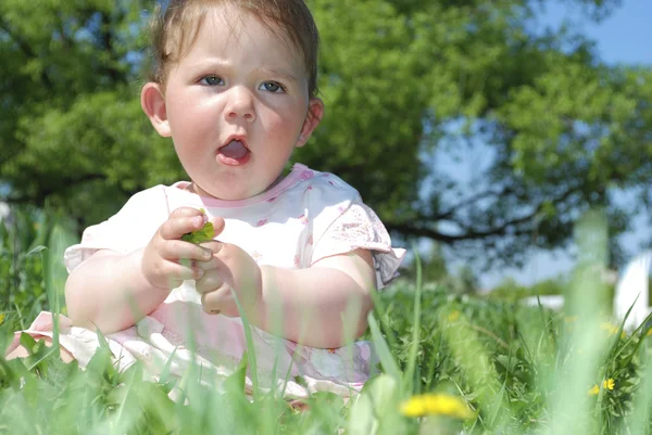 Bir alan dandelions oturan küçük kızlar. — Stok fotoğraf