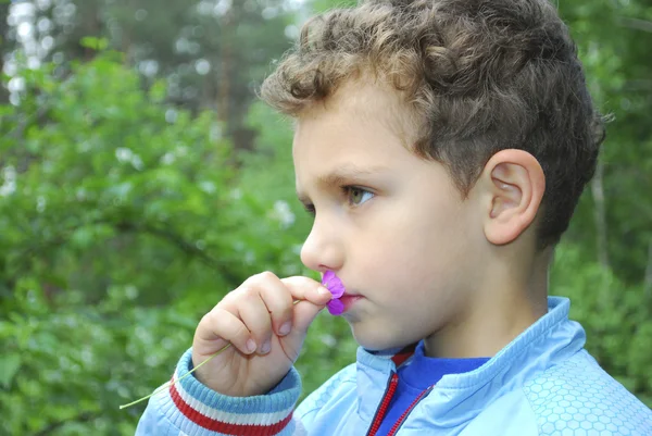 Summer in the woods a curly boy smelling pink flower. — Stock Photo, Image