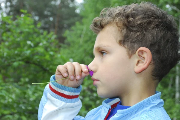 Sommar i skogen en lockig pojke att lukta rosa blomma. — Stockfoto