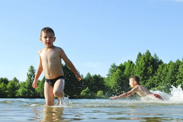 Хлопчики плавають в озері . Стокова Картинка