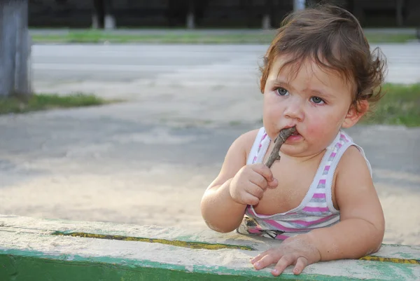 Oh what a tasty stick! — Stock Photo, Image