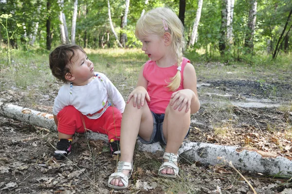 Summer in the woods on birch logs sits two little sisters — Stock Photo, Image