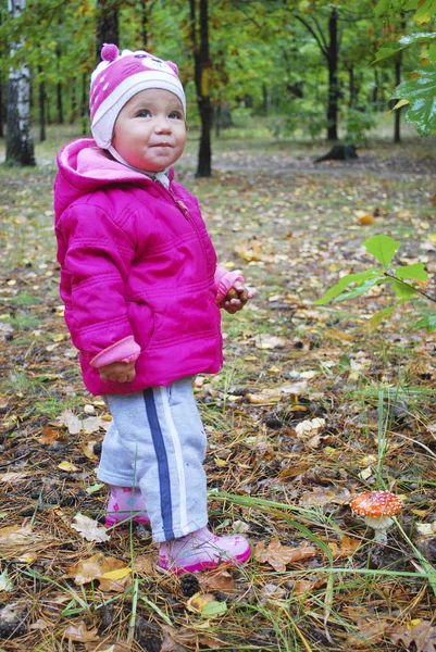 Dziewczyna stoi w pobliżu las muchomor. — Zdjęcie stockowe