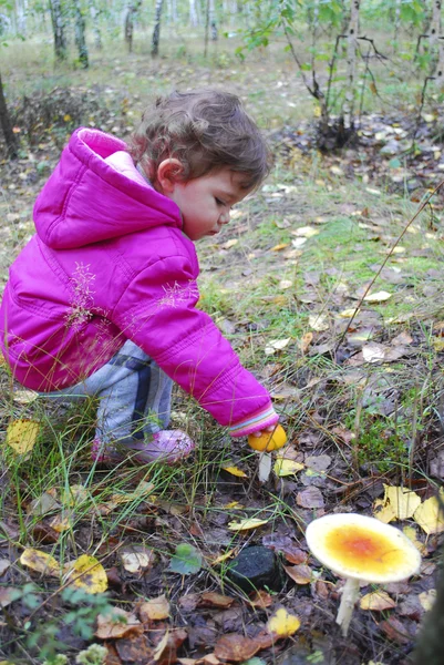 Mädchen im Wald fliegt Agaric Finger berührt — Stockfoto