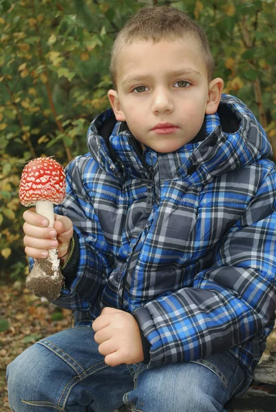 En el bosque, un niño pequeño sosteniendo un agárico  . — Foto de Stock