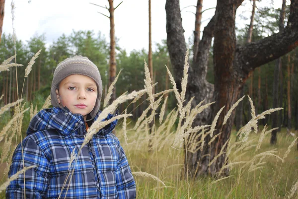 En el bosque, en la hierba alta es un niño pequeño . — Foto de Stock