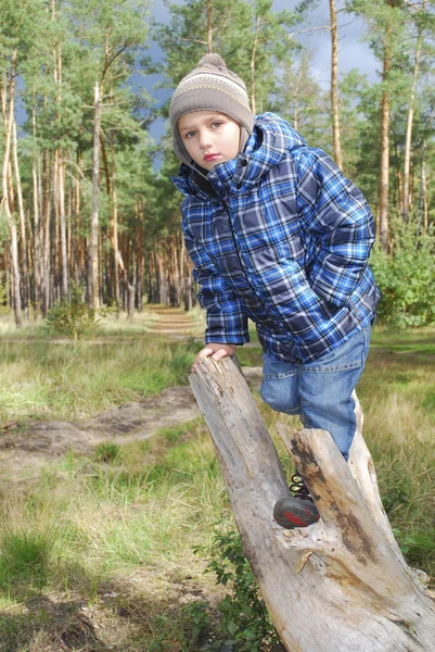 Niño de pie en el bosque en un tronco . — Foto de Stock