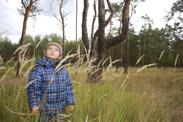 Im Wald, im hohen Gras ist ein kleiner Junge. — Stockfoto