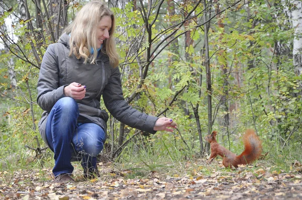 Parku, dziewczyna karmienia wiewiórka czerwona. — Zdjęcie stockowe