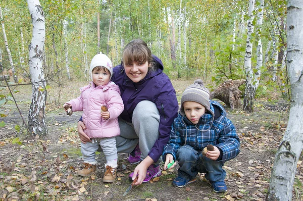 Pickers.  Mom with son and little daughter in the forest are ho — Stock Photo, Image