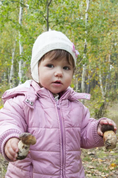 Girl in a birch forest holding a mushroom. — Stock Photo, Image