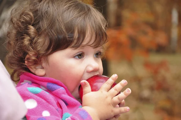 В лесу маленькая кудрявая девочка ест красное яблоко — стоковое фото