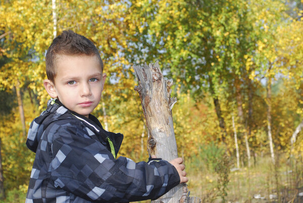 Serious boy holding his hand over a snag in the autumn forest.