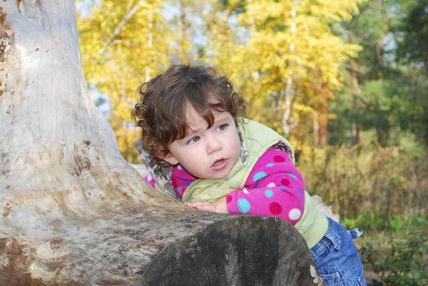 Im Wald spielt kleines Mädchen am Baumstumpf. — Stockfoto