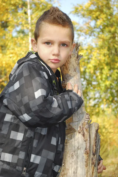 Niño serio en el bosque de otoño . — Foto de Stock