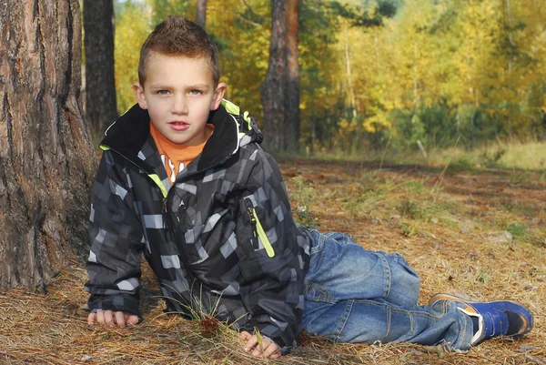 Мальчик, сидящий в осеннем сосновом лесу на земле . — стоковое фото