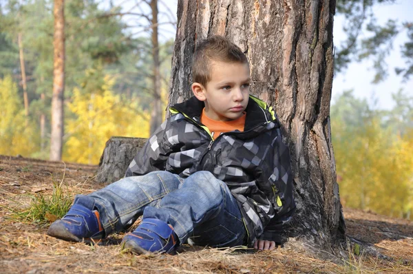 Skog liten pojke sitter nära en tall. — Stockfoto