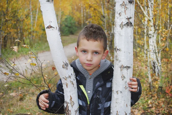 秋の森の深刻な少年. — ストック写真