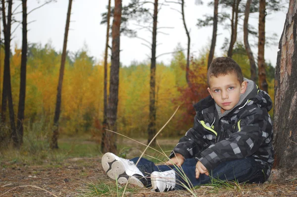Bosque pequeño niño se sienta cerca de un pino . — Foto de Stock