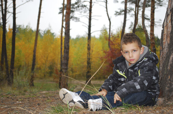 In the autumn forest little boy sits near a pine.