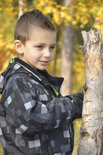 Χαμογελαστό αγόρι στο φθινόπωρο δάσος. — Φωτογραφία Αρχείου