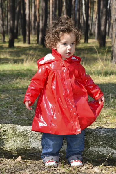 Menina sentada em uma floresta . — Fotografia de Stock