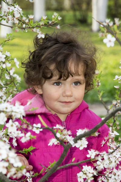 Spring in the garden a little girl holding a cherry branch. — Stock Photo, Image