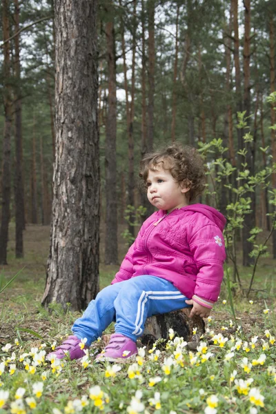 Ormanda bir güdük üzerinde oturan kız. — Stok fotoğraf