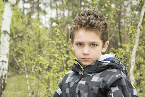 Sad curly boy in spring birch forest.