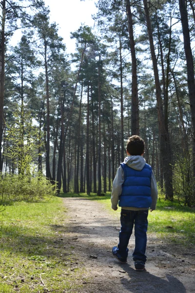 Pojke promenader längs vägen i tallskogen — Stockfoto