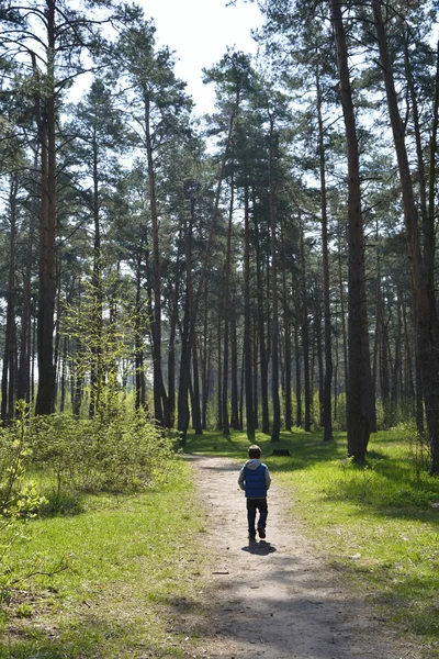 Junge, die entlang der Straße in den Pinienwald男孩在松树林中路上行走 — 图库照片