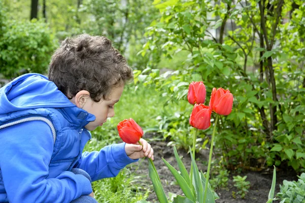 Chlapce, který seděl poblíž tulipány. — Stock fotografie