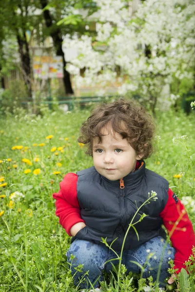 Liten flicka sitter i gräset nära maskrosor. — Stockfoto