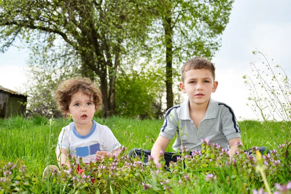 Brother and little sister sitting in flowers. — Stock Photo, Image