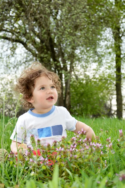 Little girl sitting in a meadow. — Stock Photo, Image